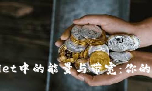 全面解析tpWallet中的能量与带宽：你的区块链交易策略